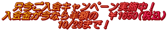 Ly[{I Ȃ甼ź@1650(ō) 10/23܂ŁI