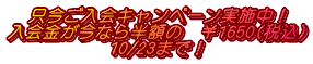 Ly[{I Ȃ甼ź@1650(ō) 10/23܂ŁI